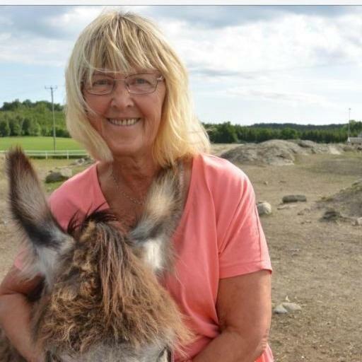 Et-Home Kungsbacka község Kültér fotó