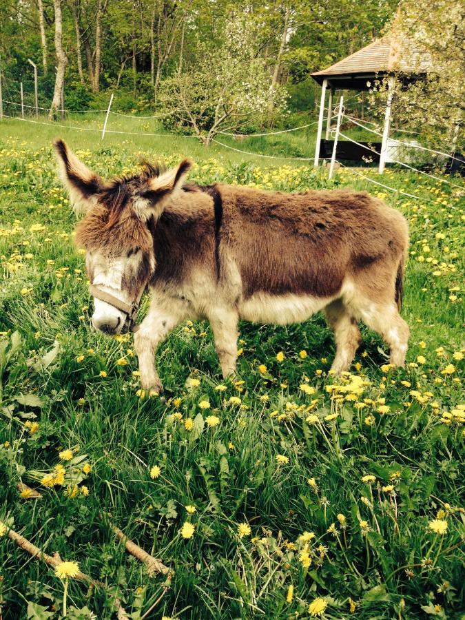 Et-Home Kungsbacka község Kültér fotó